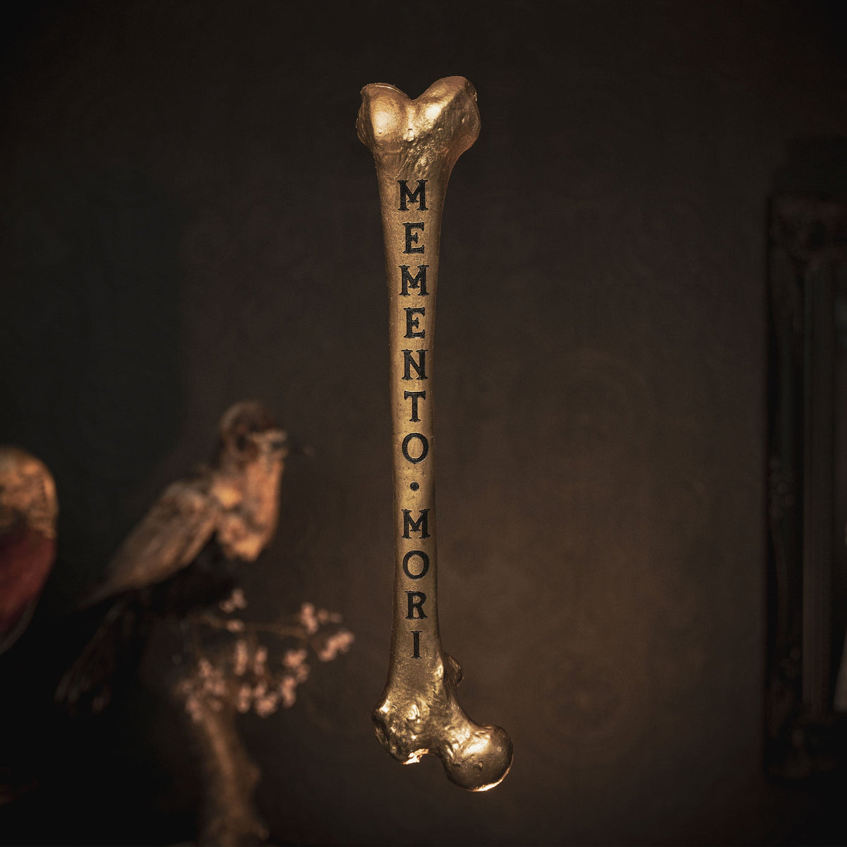 Memento Mori - Engraved Femur Bone