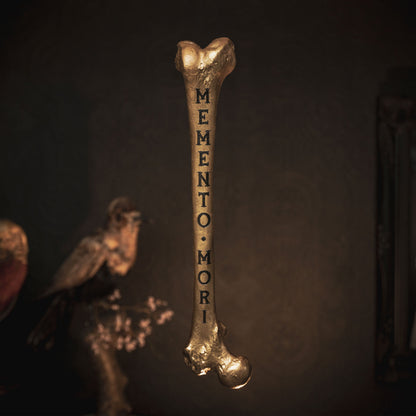 Memento Mori - Engraved Femur Bone